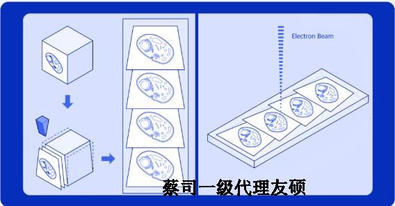 徐汇蔡司徐汇扫描电镜