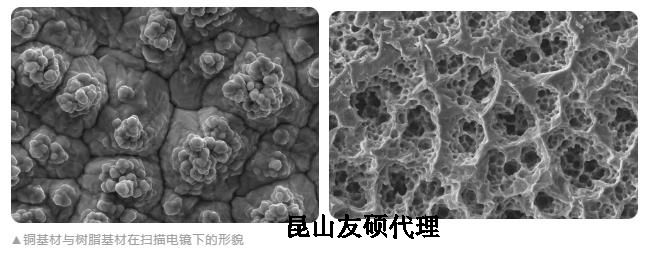 徐汇蔡司徐汇扫描电镜