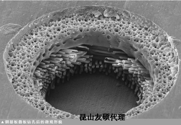 徐汇蔡司徐汇扫描电镜